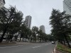 대구 동구, 가로수 정비사업 추진 '안전사고 …
